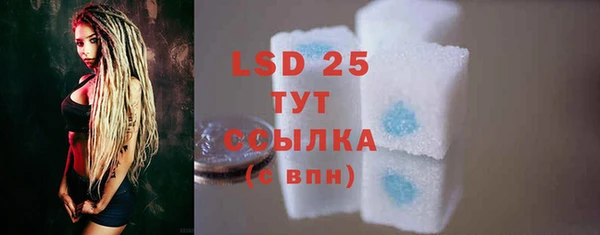 PSILOCYBIN Алексеевка