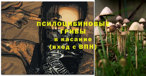 таблы Алексин