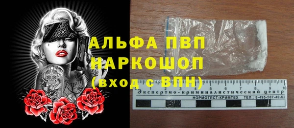 молекула духа Ростов